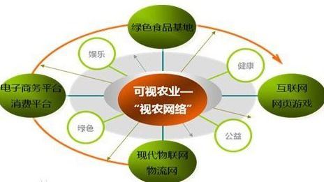 VIE架構(gòu)與大數(shù)據(jù)服務(wù) 跨境融資與數(shù)據(jù)驅(qū)動的雙軌演進(jìn)